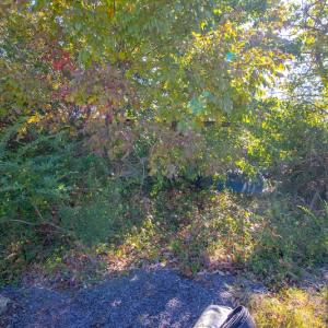 Photo #46 of SOLD property in 1282 Country Club Drive, Chase City, VA 64.1 acres