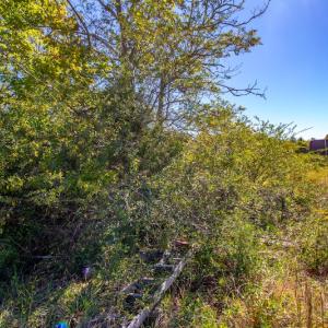 Photo #48 of SOLD property in 1282 Country Club Drive, Chase City, VA 64.1 acres