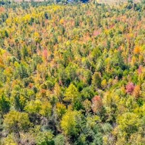 Photo #20 of SOLD property in 1282 Country Club Drive, Chase City, VA 64.1 acres