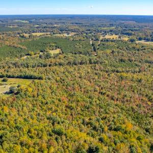 Photo #9 of SOLD property in 1282 Country Club Drive, Chase City, VA 64.1 acres