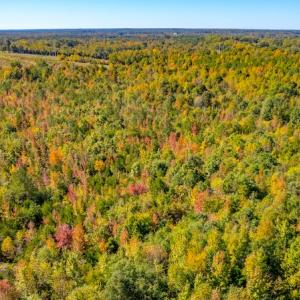 Photo #16 of SOLD property in 1282 Country Club Drive, Chase City, VA 64.1 acres