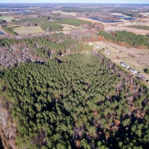 Photo #11 of SOLD property in Off Woodridge Road, Enfield, NC 27.9 acres