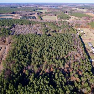 Photo #12 of SOLD property in Off Woodridge Road, Enfield, NC 27.9 acres