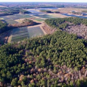Photo #14 of SOLD property in Off Woodridge Road, Enfield, NC 27.9 acres