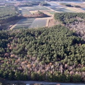 Photo #15 of SOLD property in Off Woodridge Road, Enfield, NC 27.9 acres