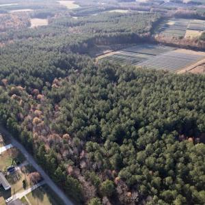 Photo #16 of SOLD property in Off Woodridge Road, Enfield, NC 27.9 acres
