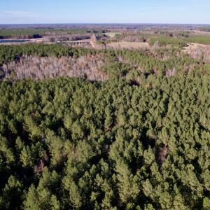 Photo #19 of SOLD property in Off Woodridge Road, Enfield, NC 27.9 acres