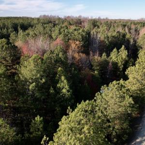 Photo #21 of SOLD property in Off Woodridge Road, Enfield, NC 27.9 acres