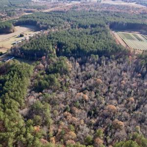 Photo #4 of SOLD property in Off Woodridge Road, Enfield, NC 27.9 acres
