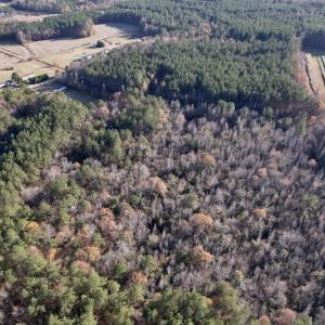 Photo #5 of SOLD property in Off Woodridge Road, Enfield, NC 27.9 acres