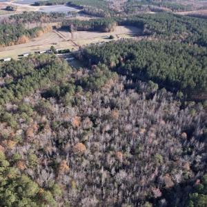Photo #6 of SOLD property in Off Woodridge Road, Enfield, NC 27.9 acres