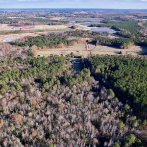 Photo #7 of SOLD property in Off Woodridge Road, Enfield, NC 27.9 acres