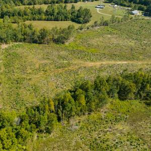 Photo #18 of SOLD property in Off S NC HWY 62, Burlington, NC 10.8 acres