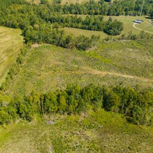 Photo #19 of SOLD property in Off S NC HWY 62, Burlington, NC 10.8 acres