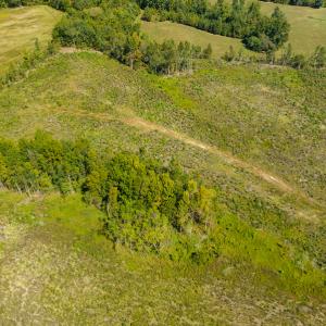 Photo #20 of SOLD property in Off S NC HWY 62, Burlington, NC 10.8 acres