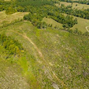 Photo #22 of SOLD property in Off S NC HWY 62, Burlington, NC 10.8 acres