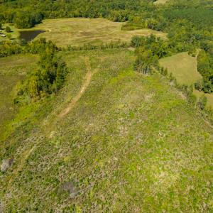 Photo #23 of SOLD property in Off S NC HWY 62, Burlington, NC 10.8 acres
