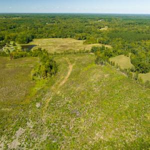 Photo #3 of SOLD property in Off S NC HWY 62, Burlington, NC 10.8 acres