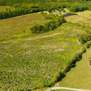Photo #6 of SOLD property in Off S NC HWY 62, Burlington, NC 10.8 acres