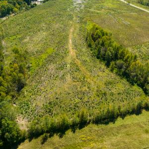 Photo #13 of SOLD property in Off S NC HWY 62, Burlington, NC 10.8 acres
