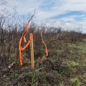 Photo #19 of SOLD property in Off S NC HWY 62, Burlington, NC 6.3 acres