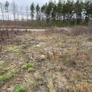 Photo #19 of SOLD property in Off S NC HWY 62, Burlington, NC 6.6 acres