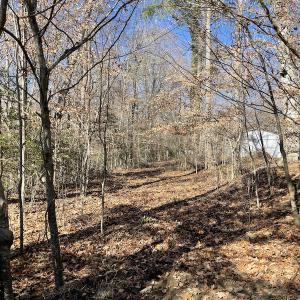 Photo #10 of SOLD property in Off Old Stage Highway, Smithfield, VA 11.4 acres
