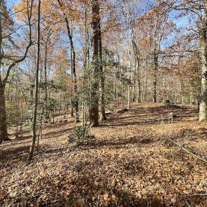 Photo #12 of SOLD property in Off Old Stage Highway, Smithfield, VA 11.4 acres