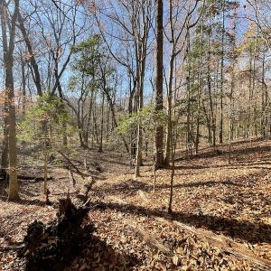 Photo #13 of SOLD property in Off Old Stage Highway, Smithfield, VA 11.4 acres