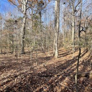 Photo #14 of SOLD property in Off Old Stage Highway, Smithfield, VA 11.4 acres
