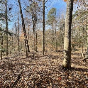 Photo #15 of SOLD property in Off Old Stage Highway, Smithfield, VA 11.4 acres