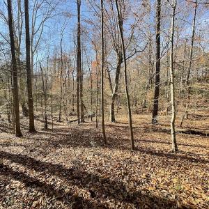 Photo #16 of SOLD property in Off Old Stage Highway, Smithfield, VA 11.4 acres