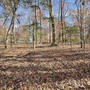 Photo #17 of SOLD property in Off Old Stage Highway, Smithfield, VA 11.4 acres