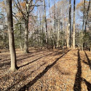Photo #18 of SOLD property in Off Old Stage Highway, Smithfield, VA 11.4 acres