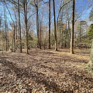 Photo #19 of SOLD property in Off Old Stage Highway, Smithfield, VA 11.4 acres
