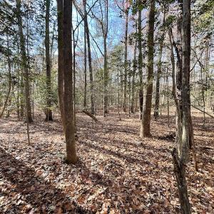 Photo #20 of SOLD property in Off Old Stage Highway, Smithfield, VA 11.4 acres