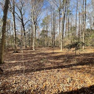 Photo #21 of SOLD property in Off Old Stage Highway, Smithfield, VA 11.4 acres