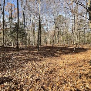 Photo #22 of SOLD property in Off Old Stage Highway, Smithfield, VA 11.4 acres