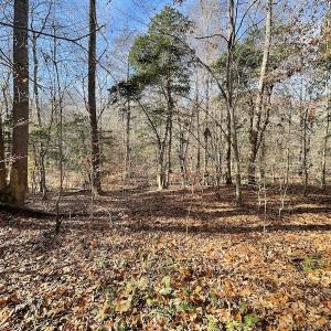 Photo #23 of SOLD property in Off Old Stage Highway, Smithfield, VA 11.4 acres