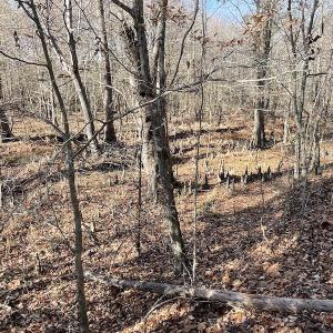 Photo #24 of SOLD property in Off Old Stage Highway, Smithfield, VA 11.4 acres