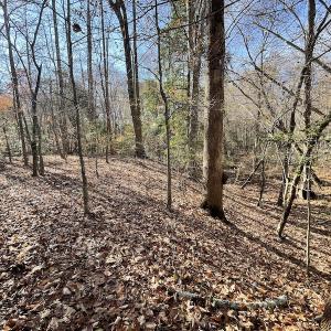 Photo #26 of SOLD property in Off Old Stage Highway, Smithfield, VA 11.4 acres