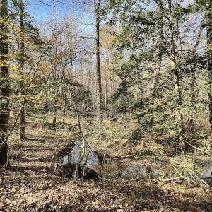 Photo #27 of SOLD property in Off Old Stage Highway, Smithfield, VA 11.4 acres