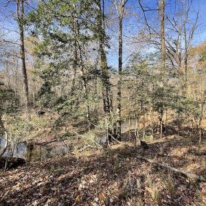 Photo #28 of SOLD property in Off Old Stage Highway, Smithfield, VA 11.4 acres