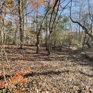 Photo #29 of SOLD property in Off Old Stage Highway, Smithfield, VA 11.4 acres