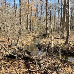 Photo #30 of SOLD property in Off Old Stage Highway, Smithfield, VA 11.4 acres