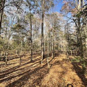 Photo #31 of SOLD property in Off Old Stage Highway, Smithfield, VA 11.4 acres