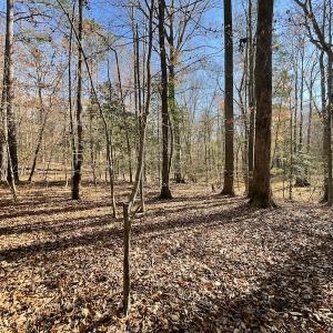 Photo #32 of SOLD property in Off Old Stage Highway, Smithfield, VA 11.4 acres
