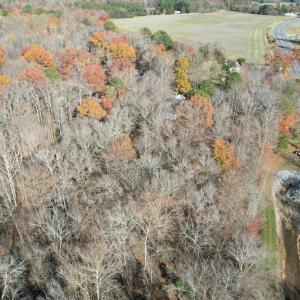 Photo #5 of SOLD property in Off Old Stage Highway, Smithfield, VA 11.4 acres