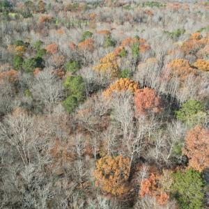 Photo #6 of SOLD property in Off Old Stage Highway, Smithfield, VA 11.4 acres