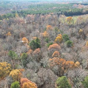 Photo #8 of SOLD property in Off Old Stage Highway, Smithfield, VA 11.4 acres